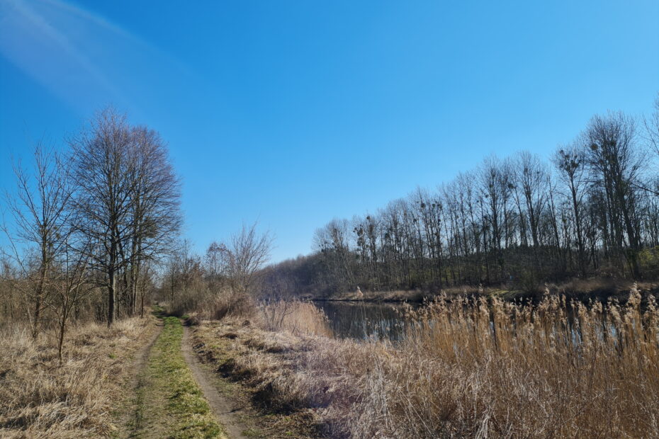 Havelkanal-Wanderung: Wildes Ufer bei Alt-Brieselang