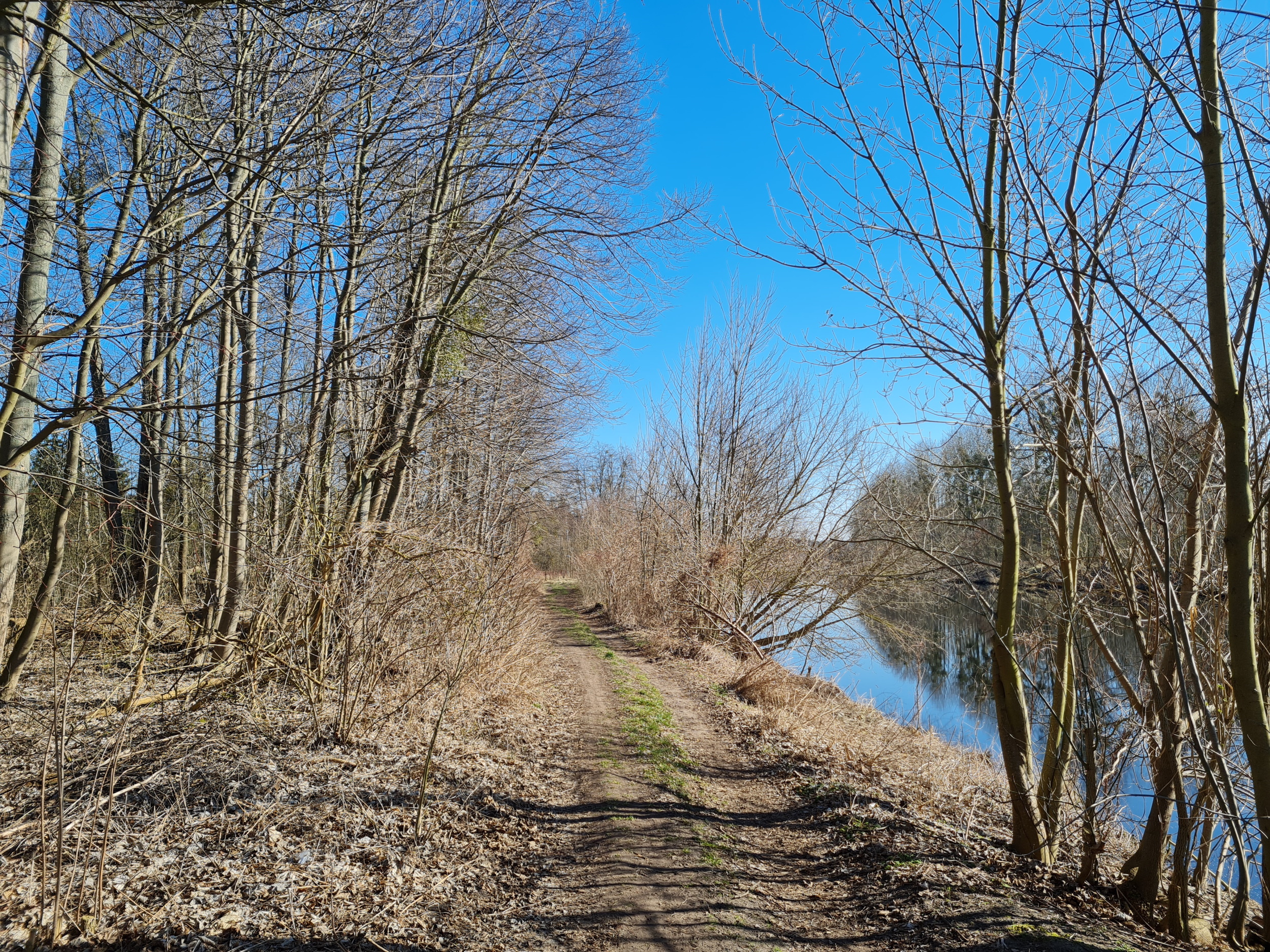 Havelkanal-Wanderung: Wildnis hinter Brieselang