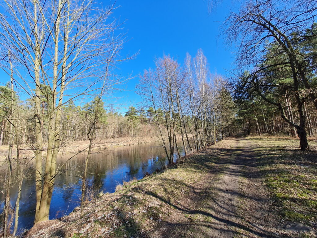 Havelkanal-Wanderung: Treibendes Eis