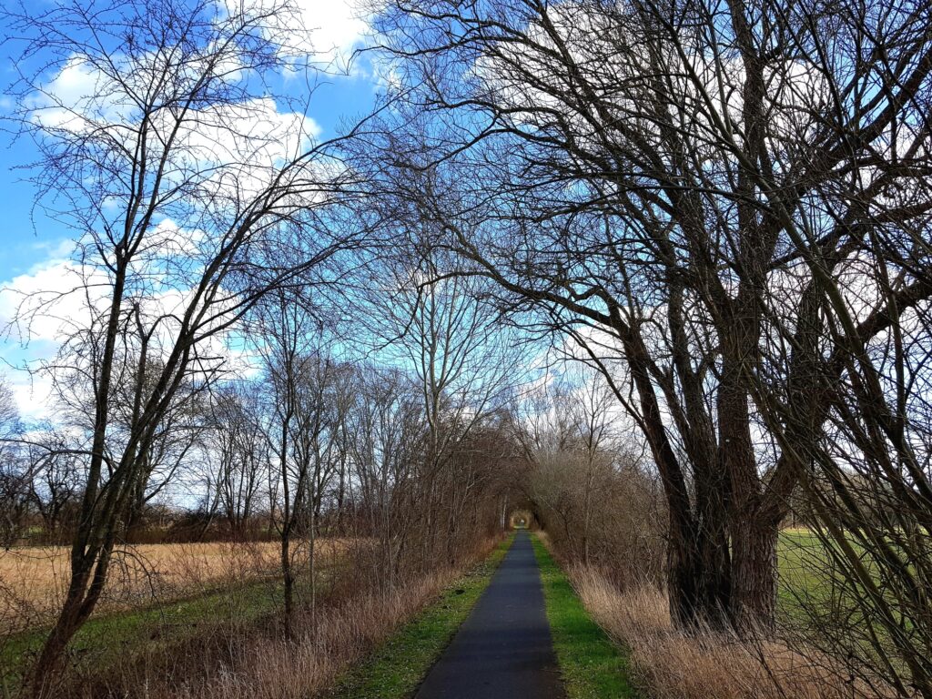 Auf dem Havelland-Radweg