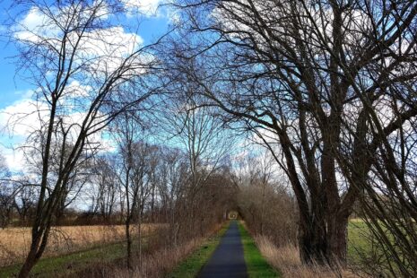 Auf dem Havelland-Radweg