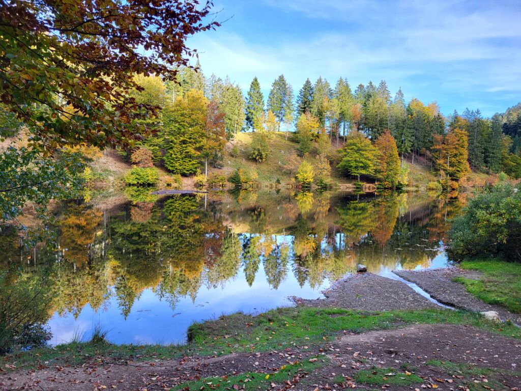 Herbst-Stimmung am Nonnenmattweiher im Schwarzwald