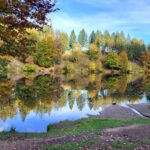 Herbst Herbst-Stimmung am Nonnenmattweiher im Schwarzwald