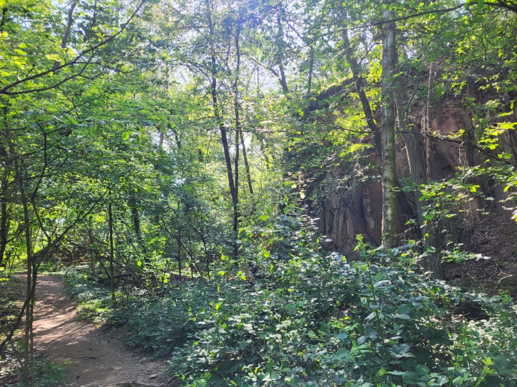 Hiwweltour Aulheimer Tal: Sandsteinbruch