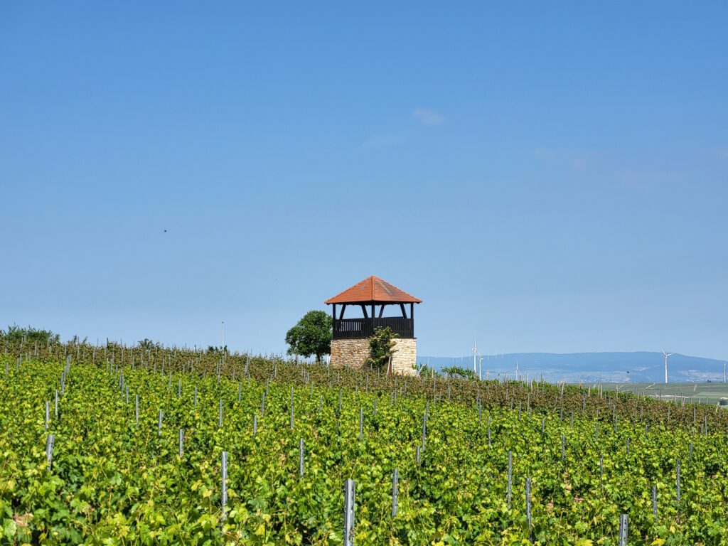 Hiwweltour Aulheimer Tal: Aussichtsturm Bornheim