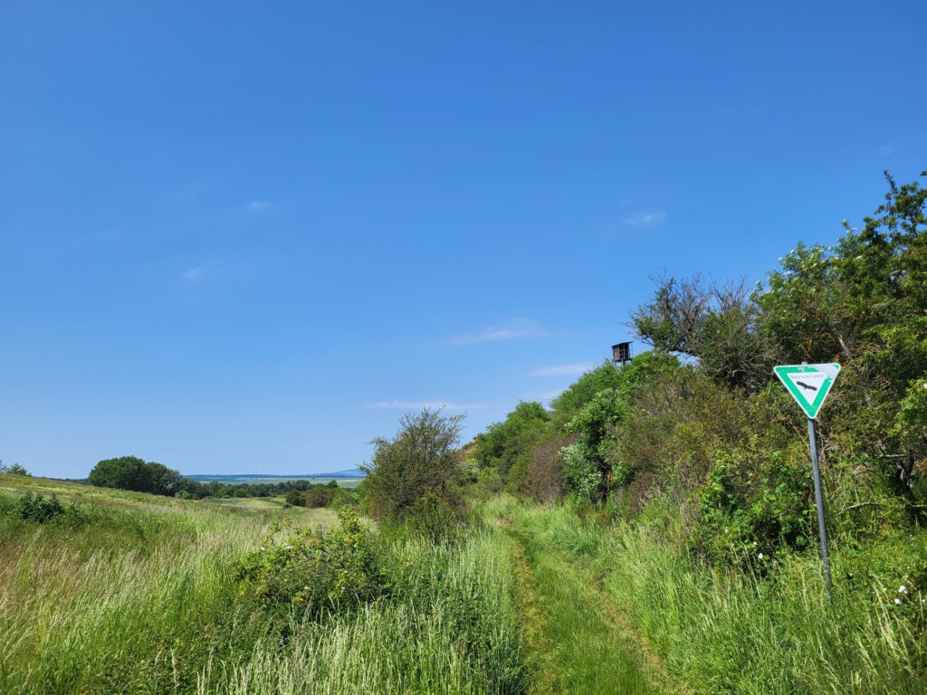 Hiwweltour Aulheimer Tal: Naturschutzgebiet Aulheimer Tal