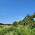 Hiwweltour Aulheimer Tal: Naturschutzgebiet Aulheimer Tal