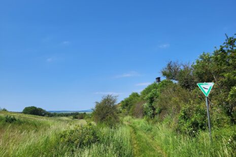 Hiwweltour Aulheimer Tal: Naturschutzgebiet Aulheimer Tal