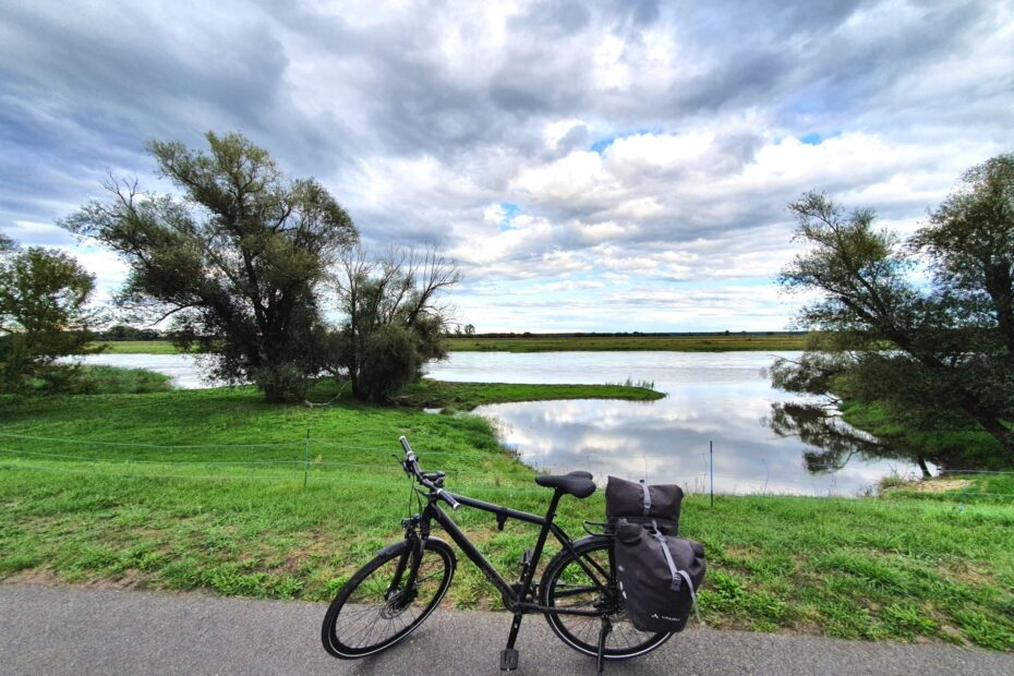 2020 wurde das Jahr der Radtouren: Stillleben auf dem Oder-Neiße-Radweg