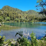 Lagune Süßwasser-Lagune in Chile: Laguna Verde, Nationalpark Huerquehue