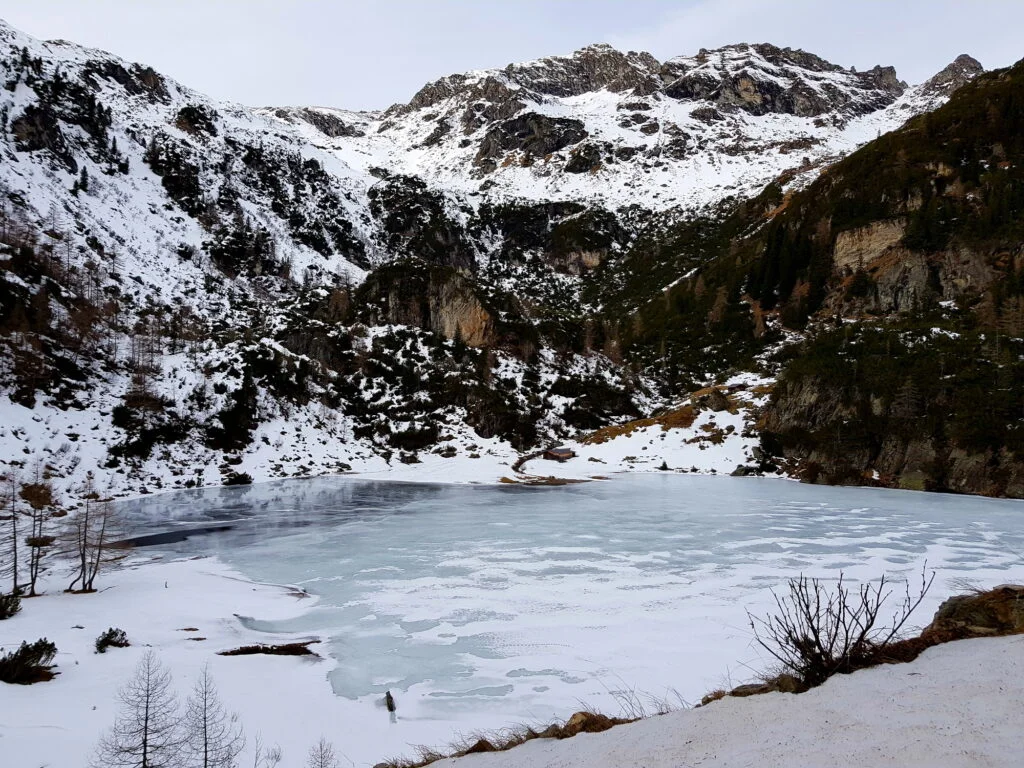 Winterlicher Landauersee