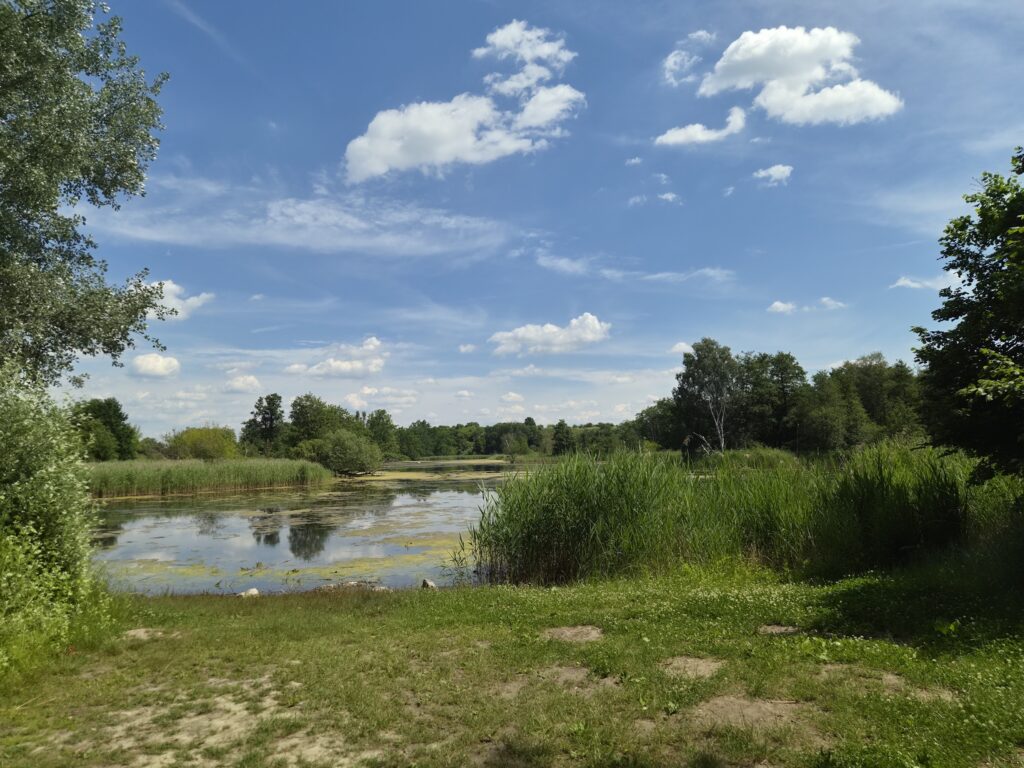 Lübarser-Felder-Wanderung: Köppchensee