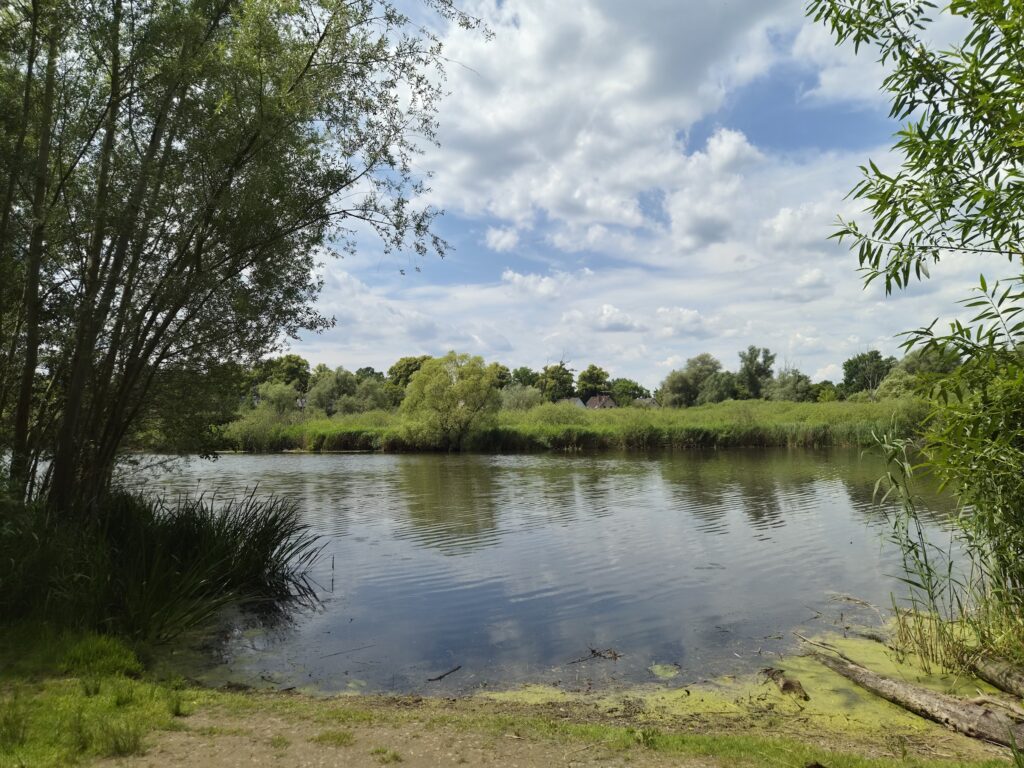 Lübarser-Felder-Wanderung: Hermsdorfer See