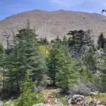 Lykischer Weg Teil 4: Blick auf Tahtalı Dağı vom höchsten Punkt des Lykischen Wegs
