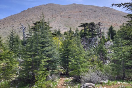 Lykischer Weg Teil 4: Blick auf Tahtalı Dağı vom höchsten Punkt des Lykischen Wegs