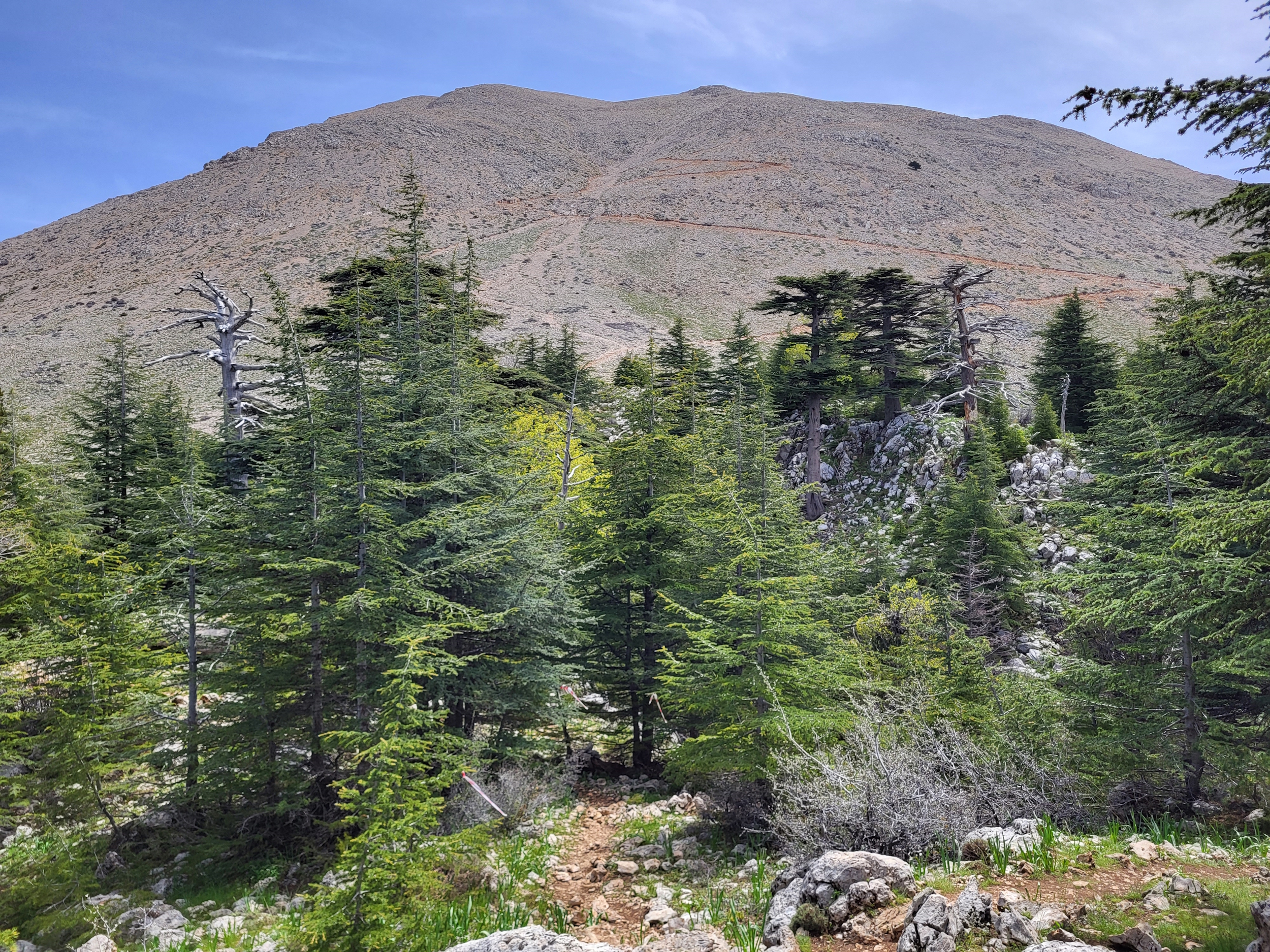 Lykischer Weg Teil 4: Blick auf Tahtalı Dağı vom höchsten Punkt des Lykischen Wegs