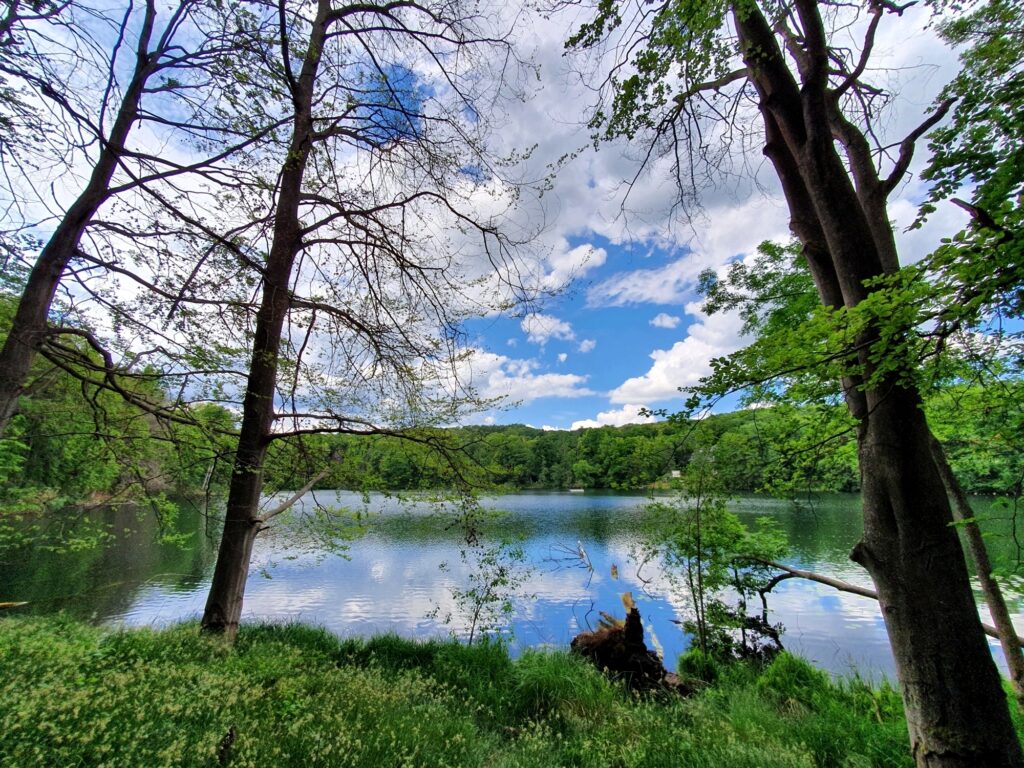 Großer Tornowsee, Märkische Schweiz