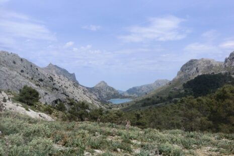 Cuber-Stausee, Mallorca