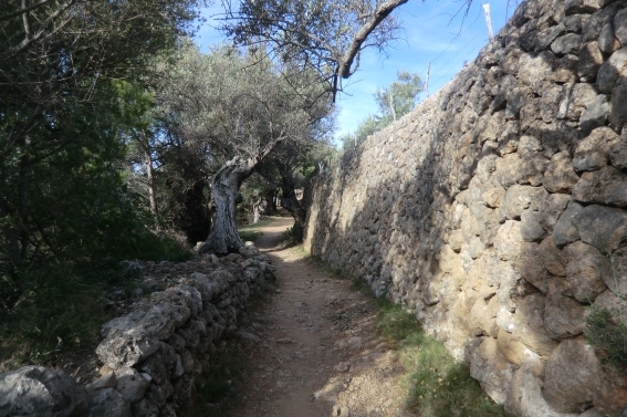 Trockenmauerroute, Mallorca