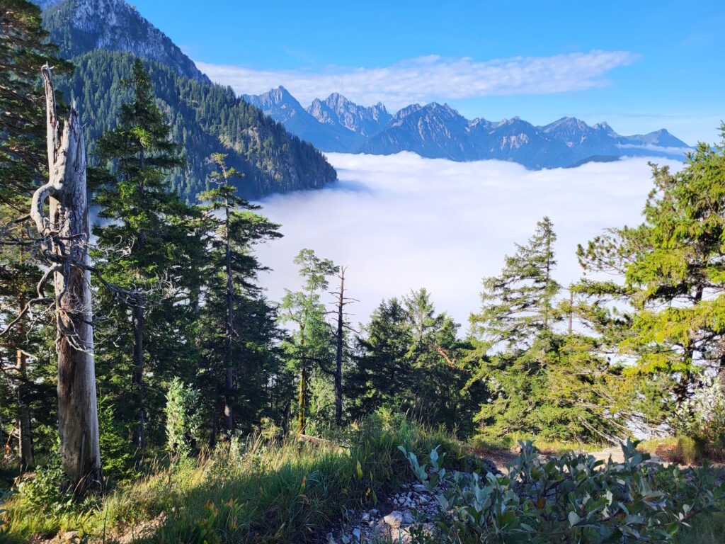 Maximiliansweg Teil 1: Auf diesem Bild ist ein Schloss Neuschwanstein versteckt