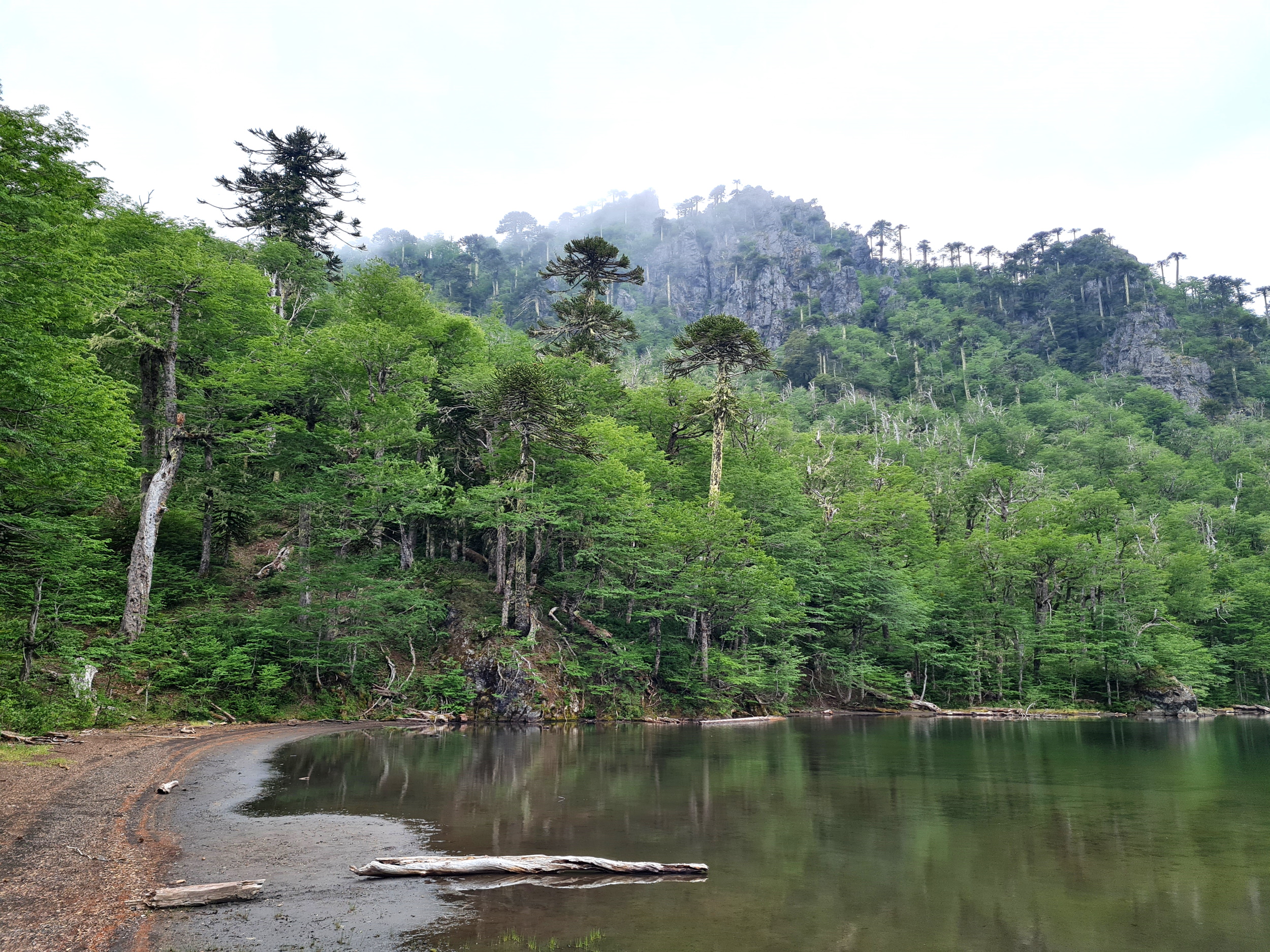 Wanderung zum Mirador del Cañi: Laguna Negra