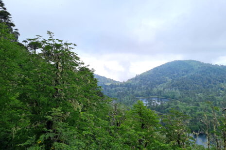 Wanderung zum Mirador del Cañi: Blick auf Laguna Negra