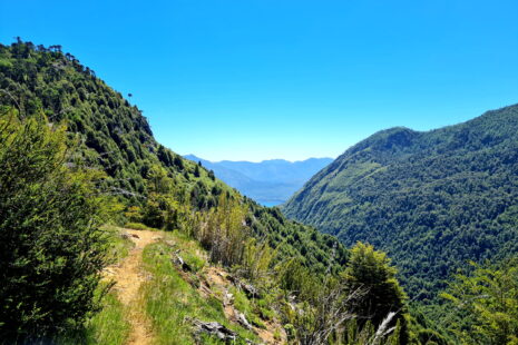 Blick vom Mirador Renahue über den Nationalpark Huerquehue bis zum Lago Tinquilco