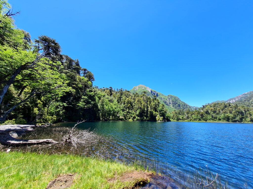 Lago Toro mit Cerro Araucano im Nationalpark Huerquehue