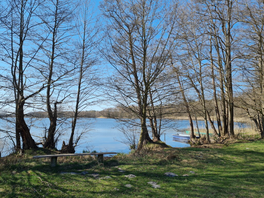 Hofsee, Wanderung durch den Müritz-Nationalpark von Kratzeburg nach Waren