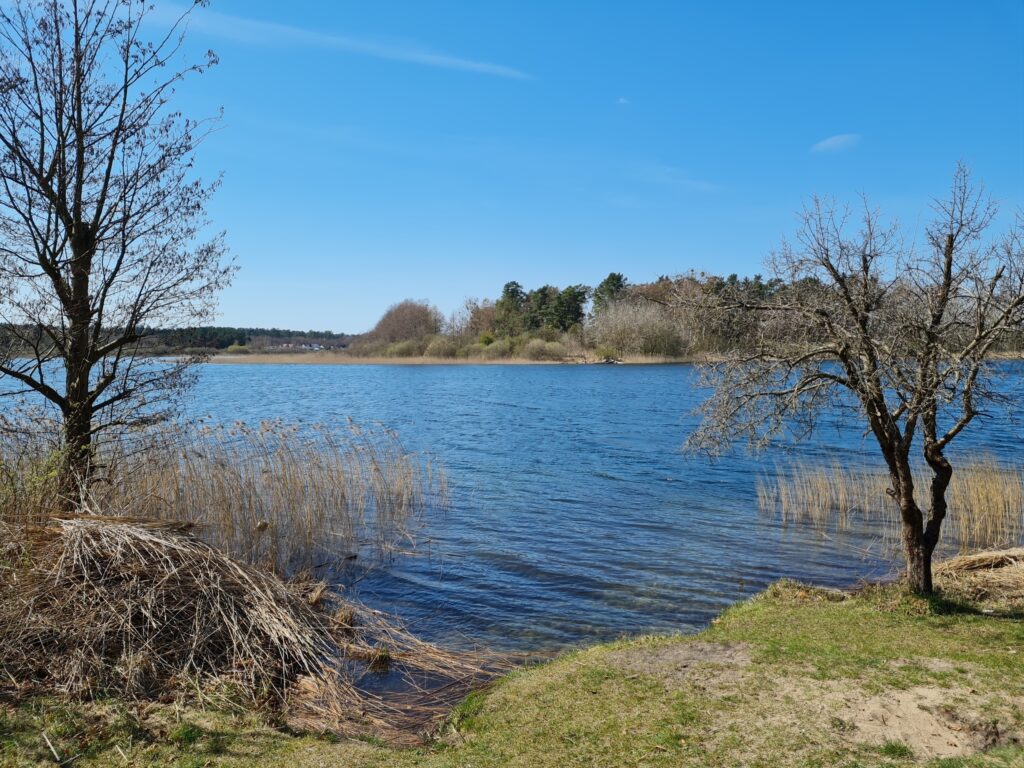 Felsnecksee mit Burgwallinsel, Wanderung durch den Müritz-Nationalpark von Kratzeburg nach Waren