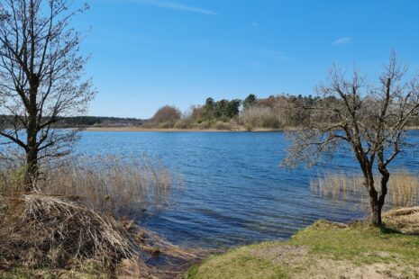 Felsnecksee mit Burgwallinsel, Wanderung durch den Müritz-Nationalpark von Kratzeburg nach Waren