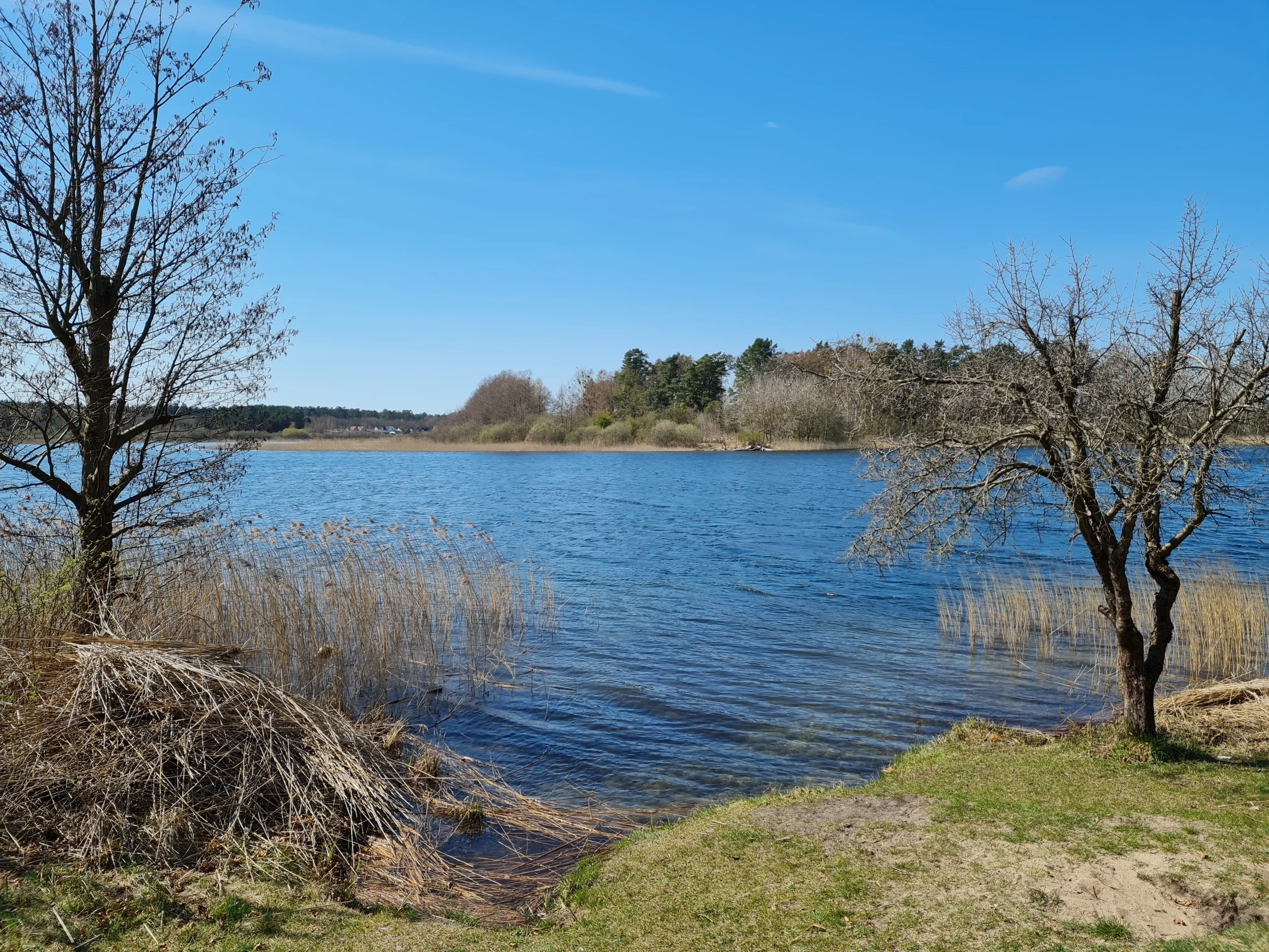 Felsnecksee mit Burgwallinsel, Wanderung durch den Müritz-Nationalpark von Kratzeburg nach Waren
