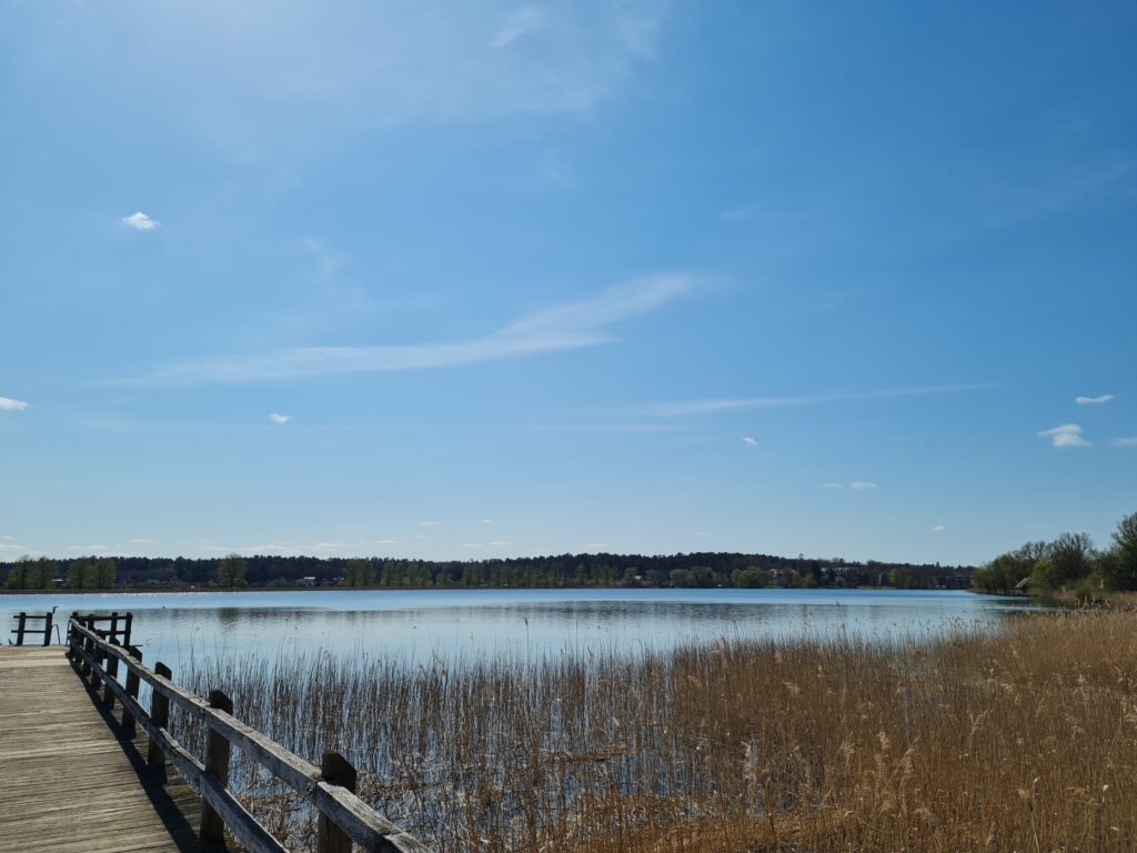 Steg am Naturbad Felsneck, Wanderung durch den Müritz-Nationalpark von Kratzeburg nach Waren