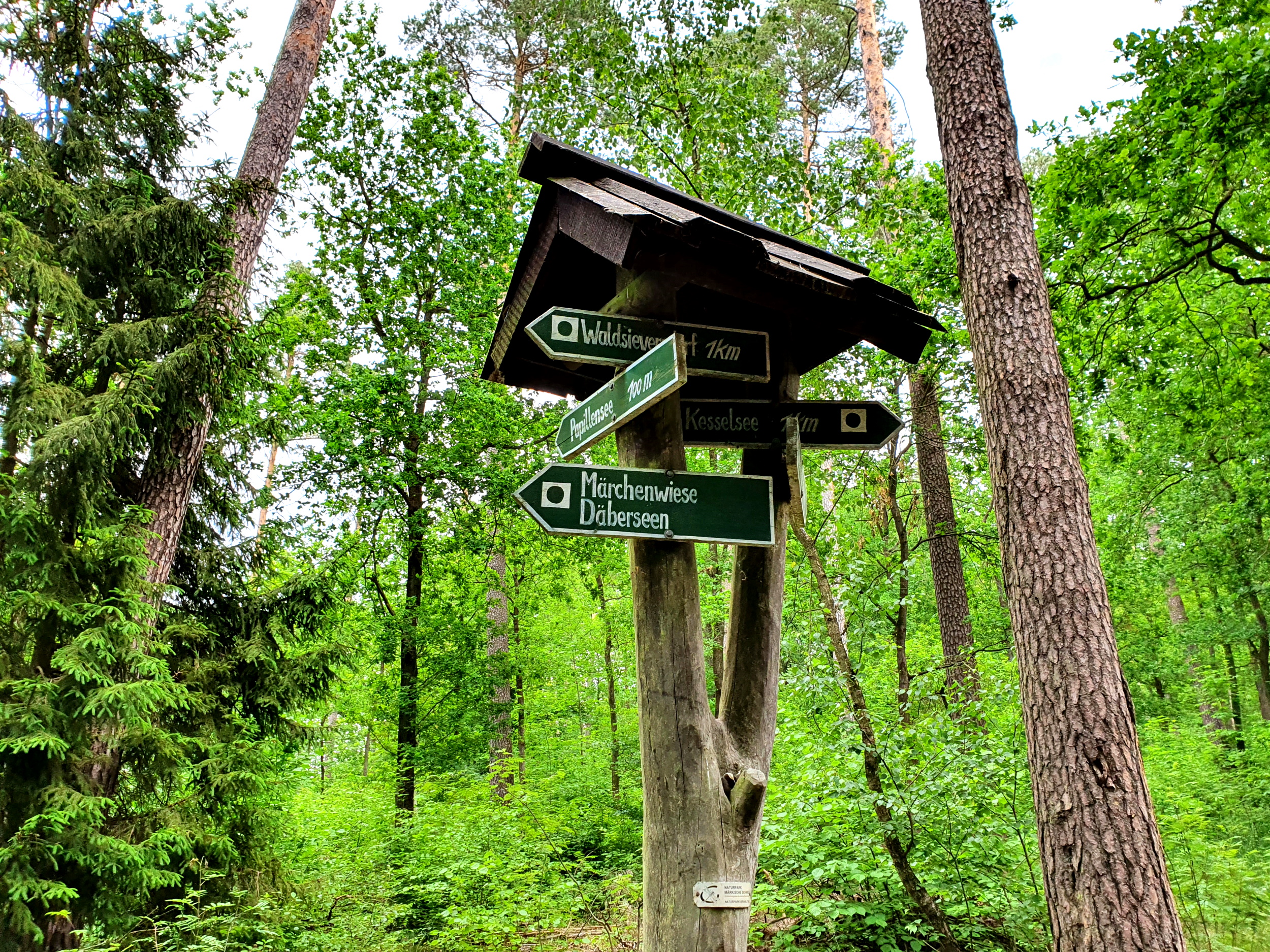 Wegweiser im Naturpark Märkische Schweiz