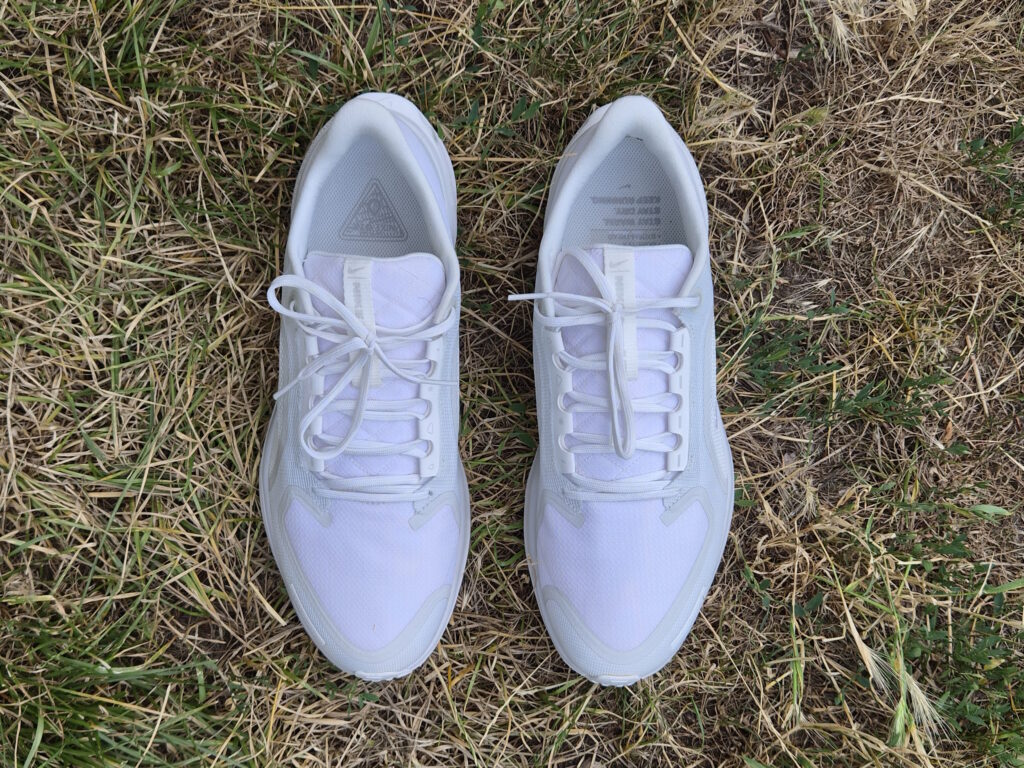 Bequeme Schnürung und herausnehmbare gedämpfte Sohle der Nike Pegasus 41 GTX Schuhe