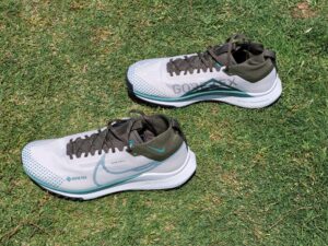 Nike Pegasus Trail 4 GTX Schuhe im Test