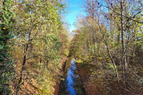 Nordgraben-Wanderung: Brücke Schönhauser Straße