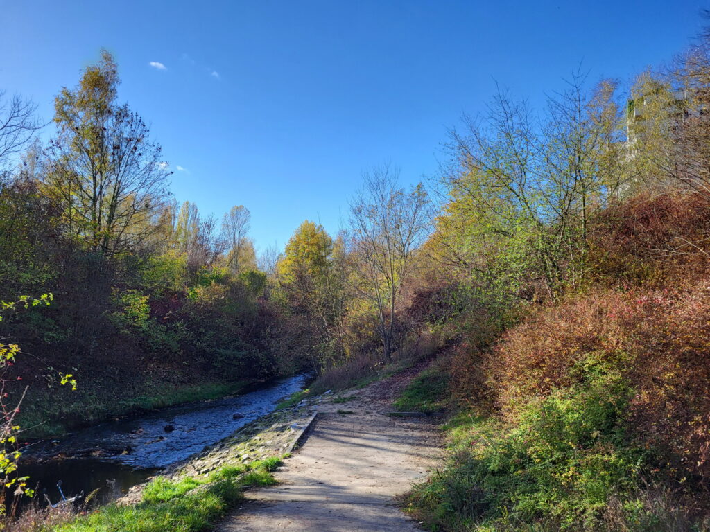 Nordgraben-Wanderung: Uferstelle Märkisches Viertel