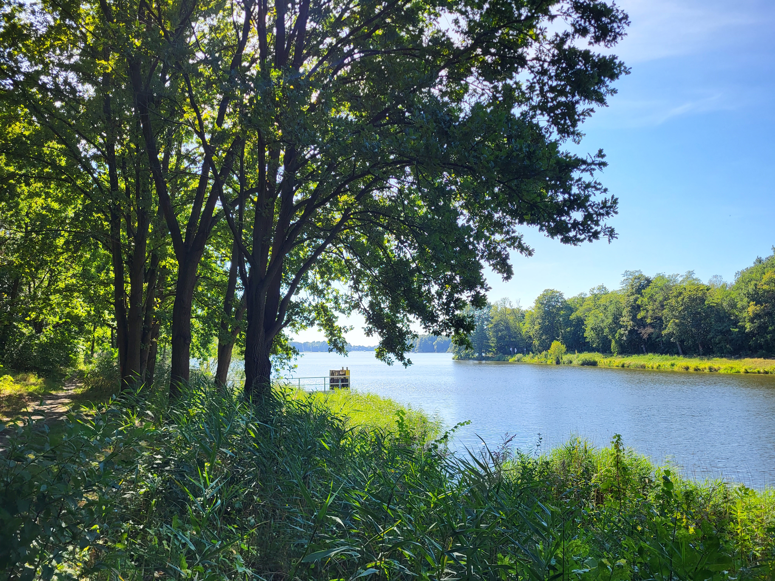 Oder-Havel-Kanal-Wanderung: Mündung in den Lehnitzsee