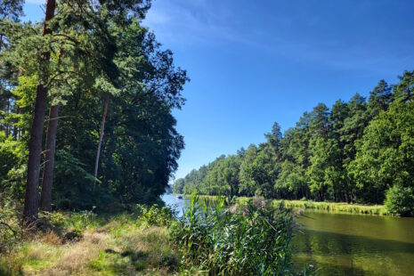 Oder-Havel-Kanal-Wanderung: Hinter Bernöwe