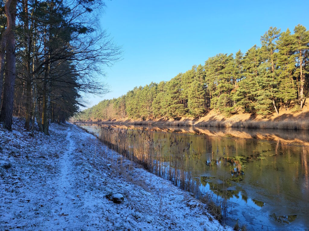 Oder-Spree-Kanal-Wanderung: Uferweg vor Braunsdorf