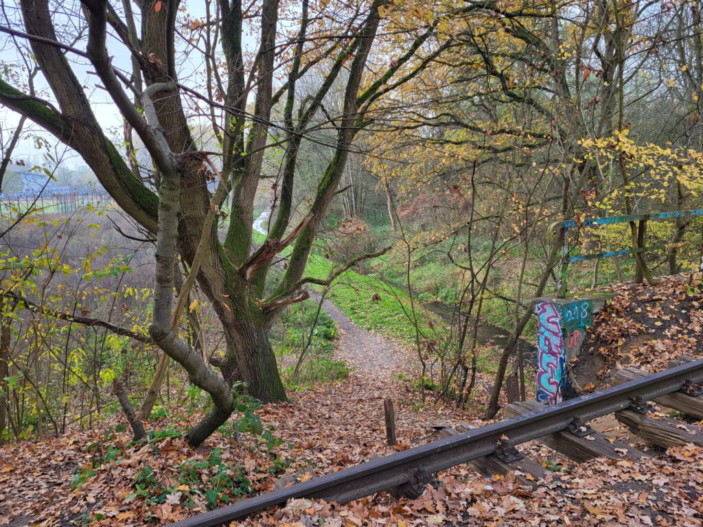 Panke-Wanderung: Hinter Buch übers Gleisbett