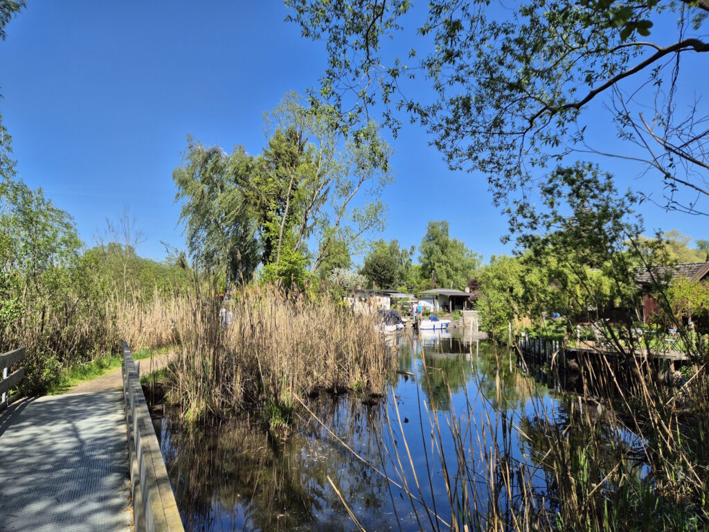 Pichelswerder-Wanderung: Tiefwerder Wiesen