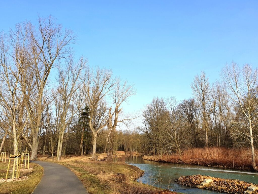 Spreeradweg hinter Cottbus