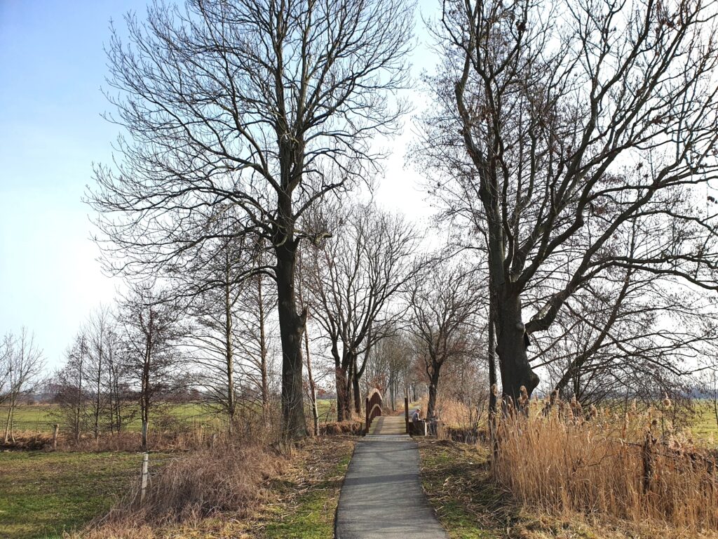 Auf der Radtour von Cottbus durchs Schlaubetal nach Beeskow, hinter Pinnow