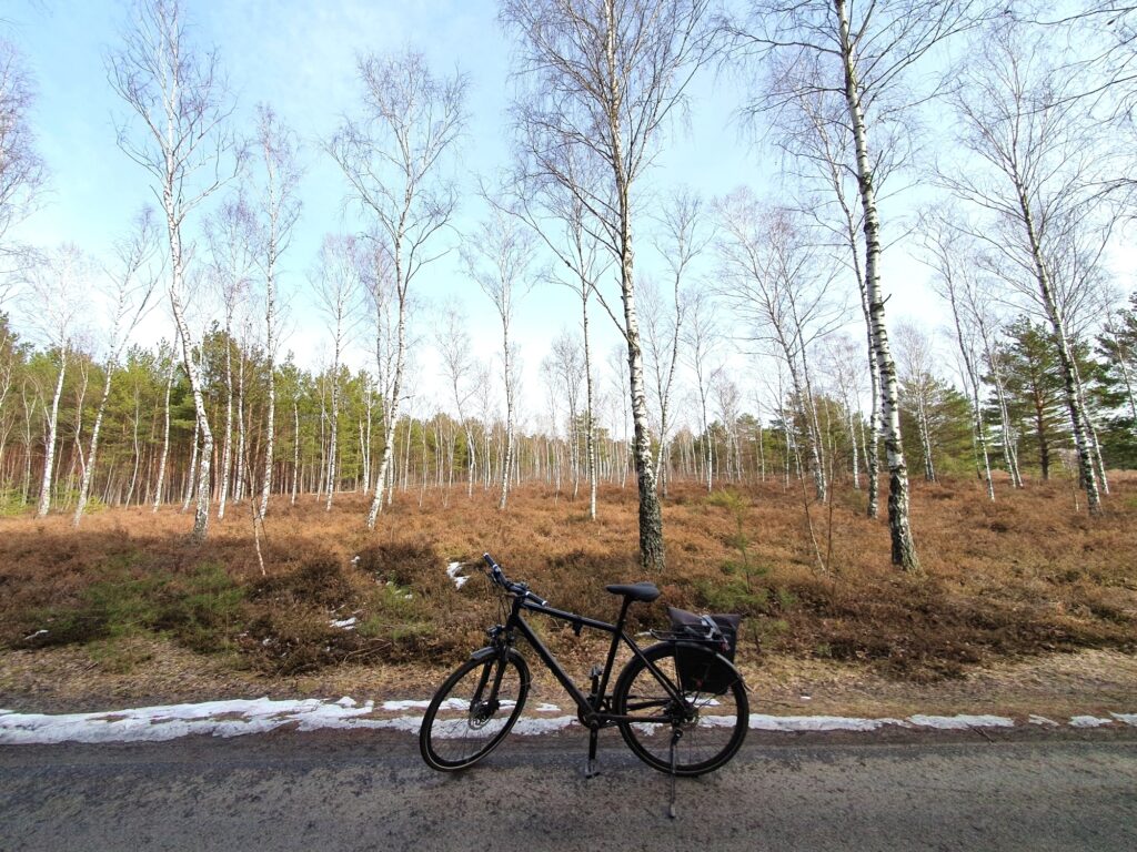 Radtour von Cottbus durchs Schlaubetal nach Beeskow: Reicherskreuzer Heide im Naturpark Schlaubetal