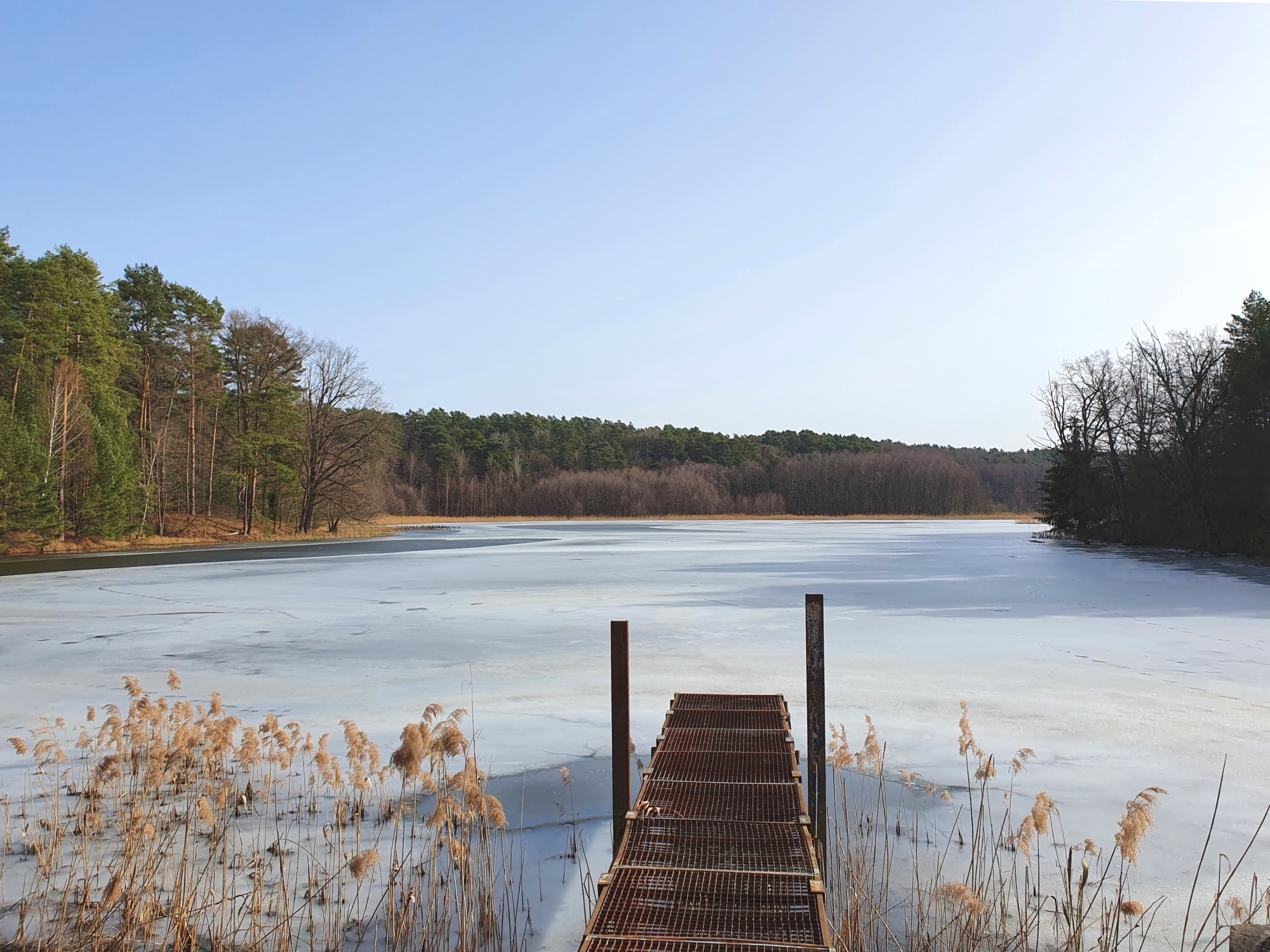 Namenloser Teich beim Oelsetal im Naturpark Schlaubetal