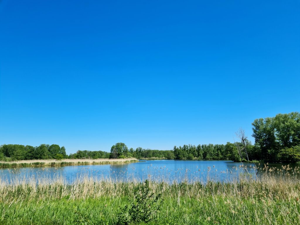 Havelidyll bei Saaringen auf der Radtour an der Havel von Potsdam nach Kirchmöser