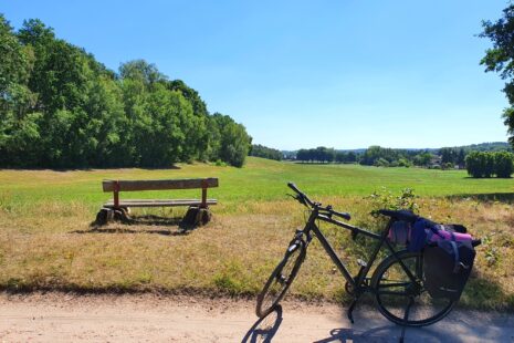 Radweg Berlin-Leipzig kurz hinter Bad Schmiedeberg