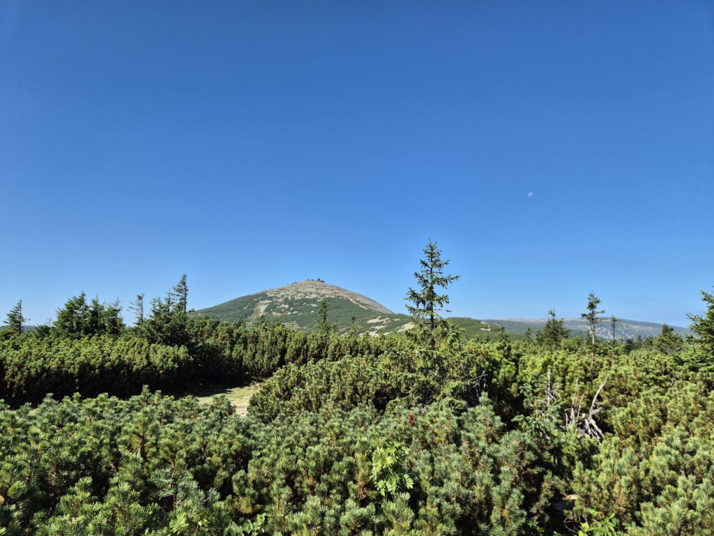 Riesengebirge-Wanderung über die Schneekoppe: Blick von der Schwarzen Koppe auf die Schneekoppe